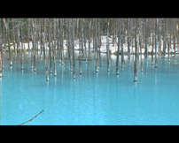 白金の青い池