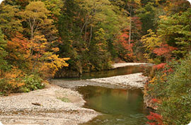 紅葉のクワンナイ川