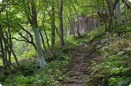 天人峡の自然散策路