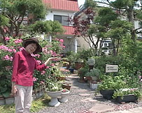 旭川市の大口さんのお庭をご紹介