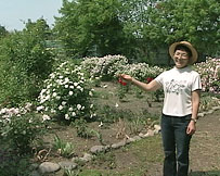 東川町の飛騨野さんのお庭をご紹介