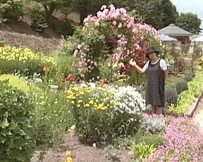 東神楽町の吉原さんのお庭をご紹介