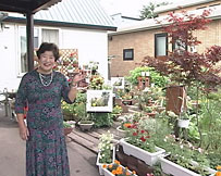旭川市の播磨さんのお庭をご紹介