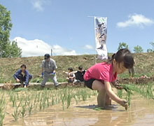 JA北海道中央会主催「ふれあい田んぼ教室」