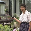 001-旭川市春光台 小出さんのお庭