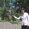 001-旭川市末広 赤坂さんのお庭