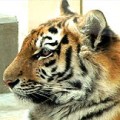 日本最東端の動物園 釧路市動物園1