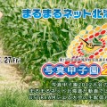 写真甲子園2012 まるまるネット北海道特別番組！