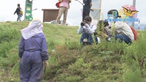 写真甲子園2016-上富良野町-001