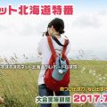 写真甲子園2017-まるまるネット特番